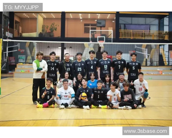 权威发布：2023年排球配合实力榜单全面解析与球队排名分析